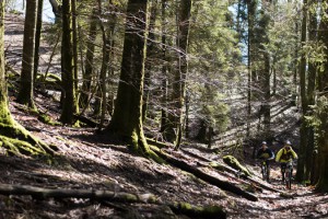 Bewitched-forests-Sightseeing-MTB-Tours